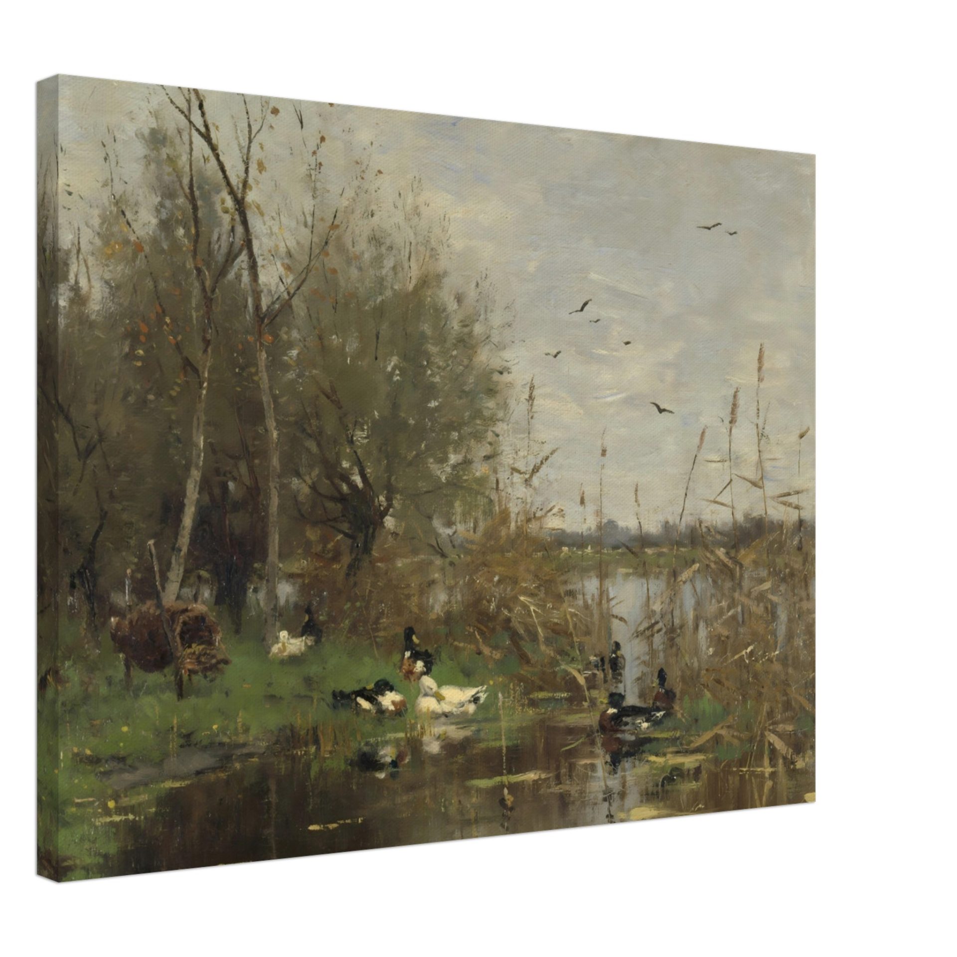 Ducks Beside a Duck Shelter on a Ditch, by Geo Poggenbeek, 1884